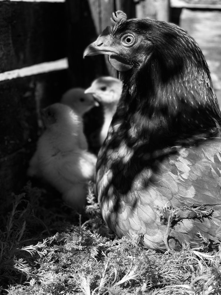 Photograph by Alina Shaimukhametova