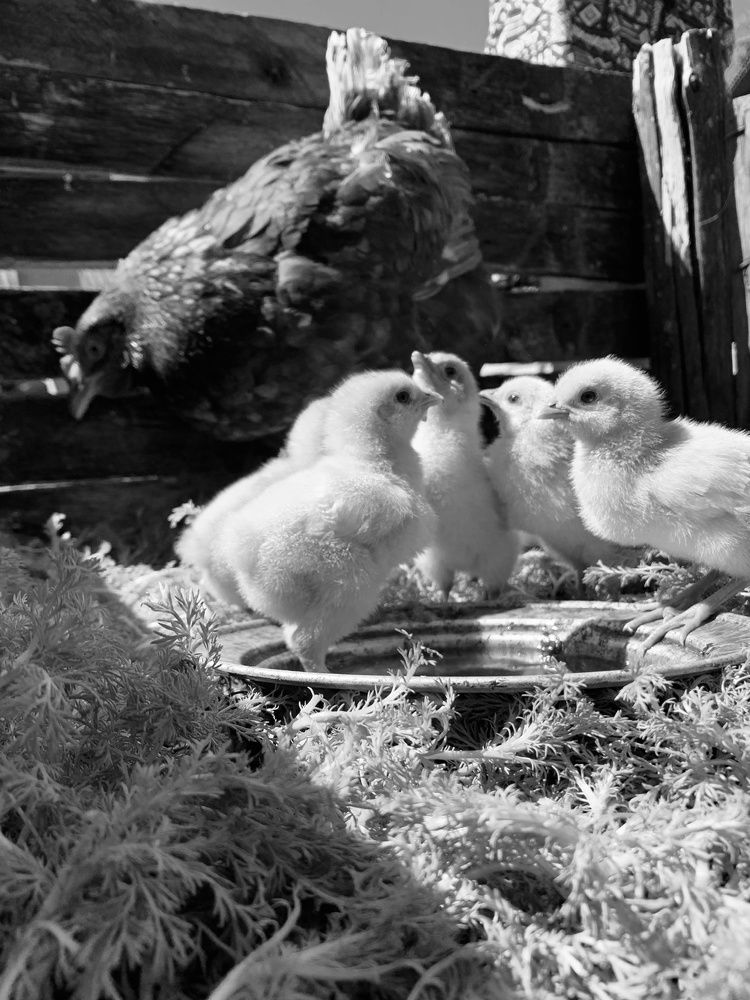 Photograph by Alina Shaimukhametova