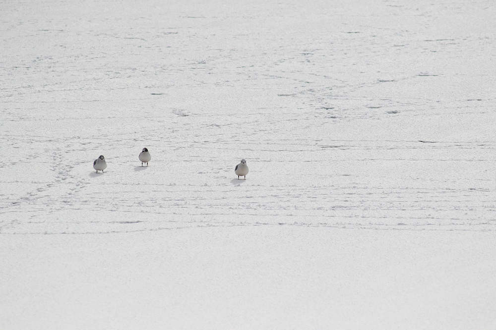 Photograph by Anna Banasiak