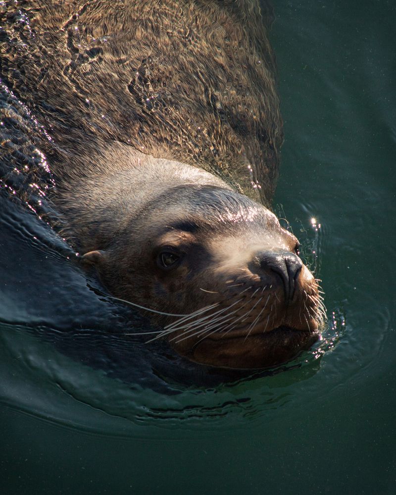 Photograph by Валентин Кольцов