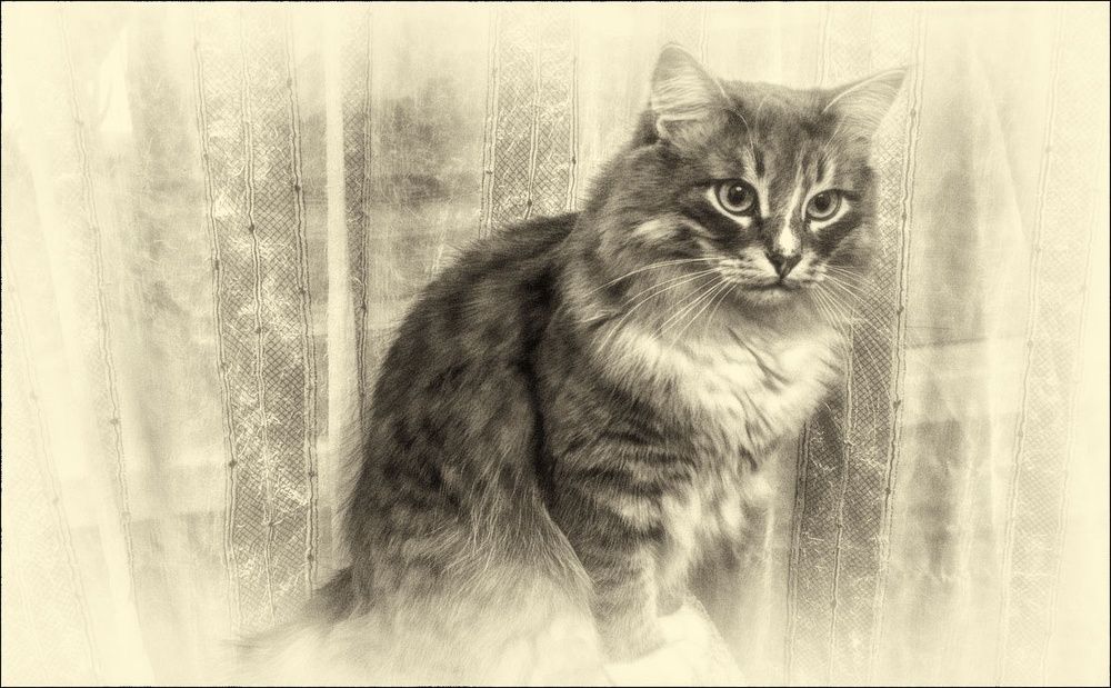 Photograph by Марк