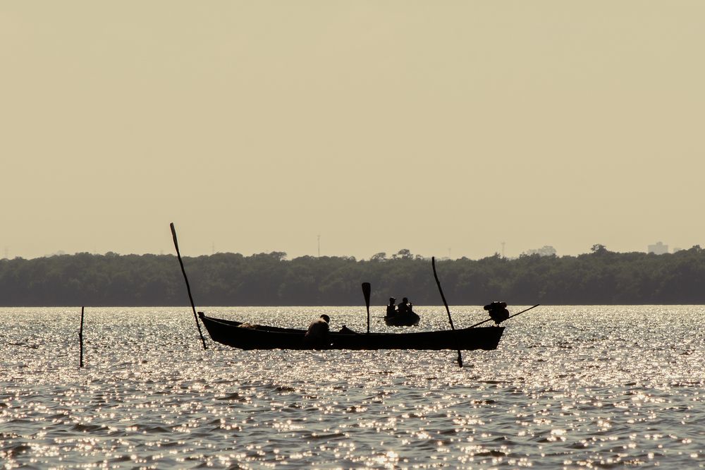 Photograph by REINALDO MARIA DA SILVA FILHO