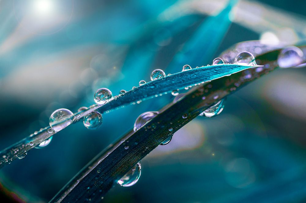 Photograph by Владислав Бичук