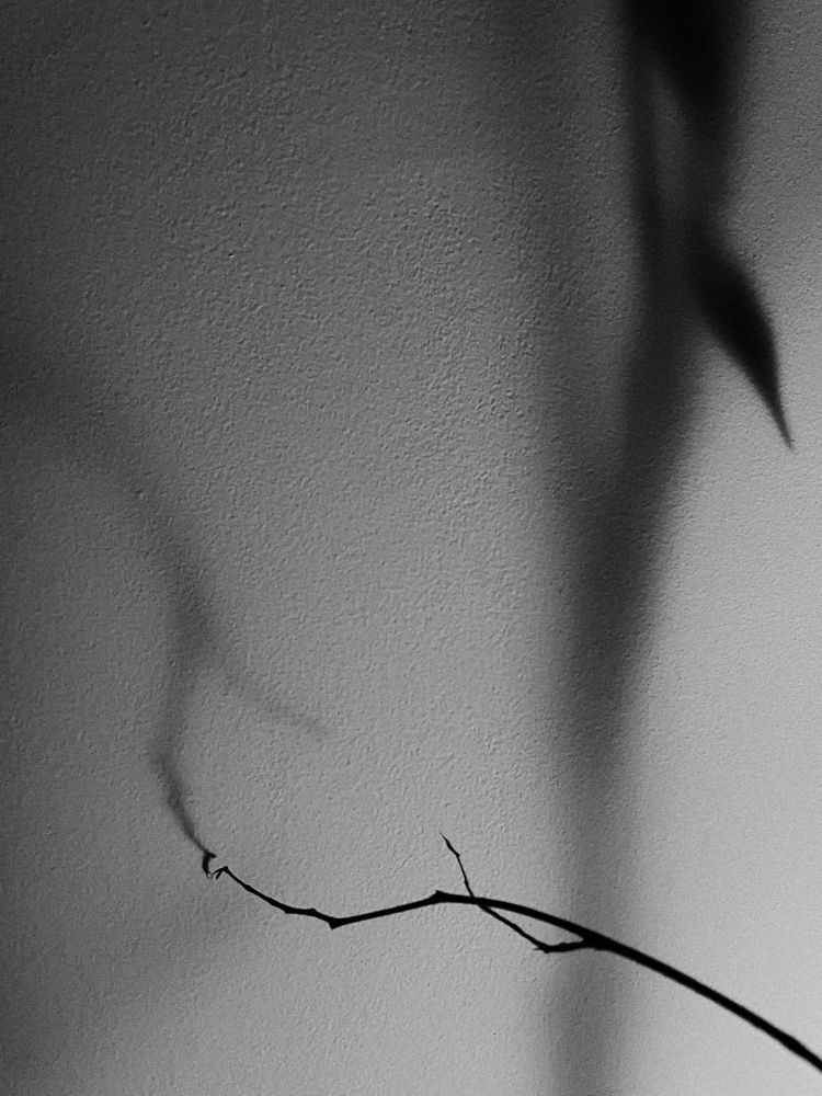 Photograph by Sophia Nasyrova