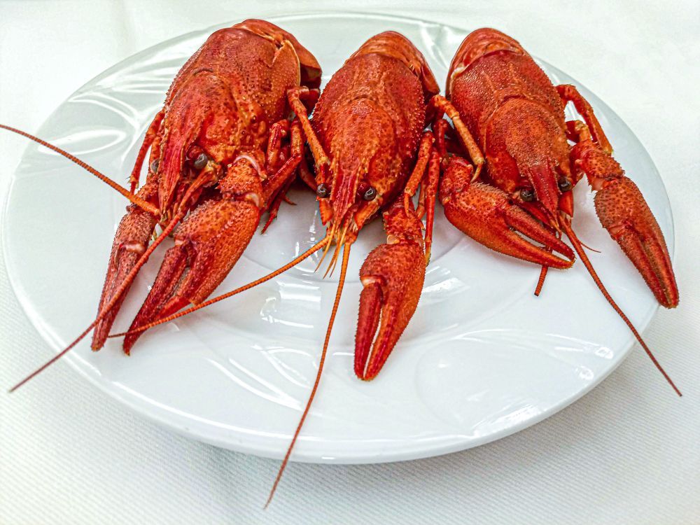 Photograph by Лариса Рулёва