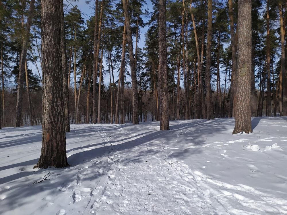 Photograph by Саша Шорин