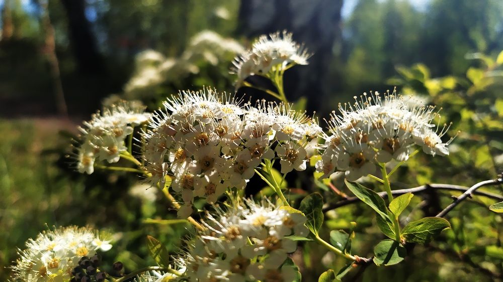 Photograph by Любовь Осипова