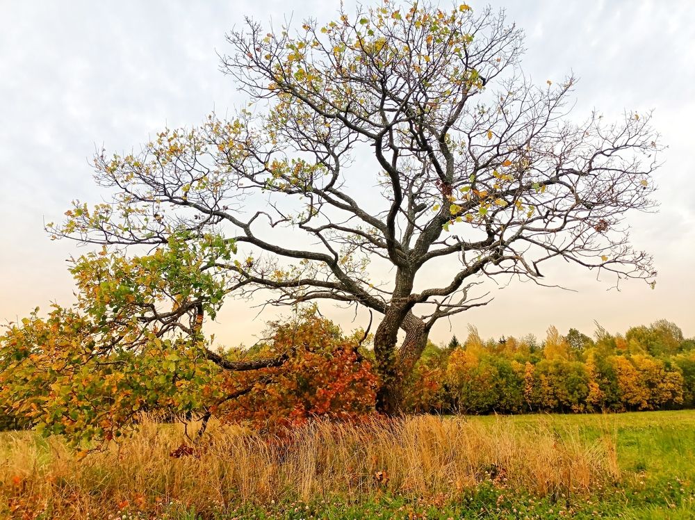 Photograph by Арина Данилова