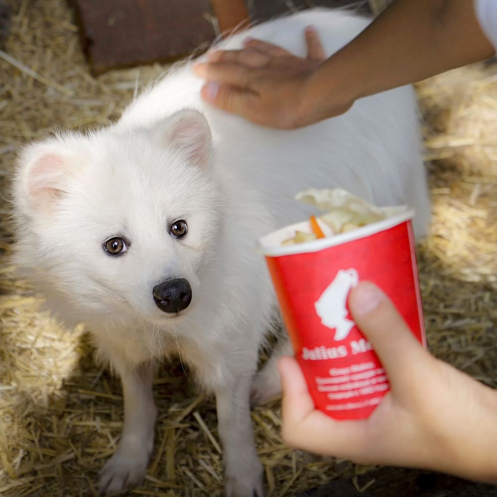 Photograph by Светлана Сычева