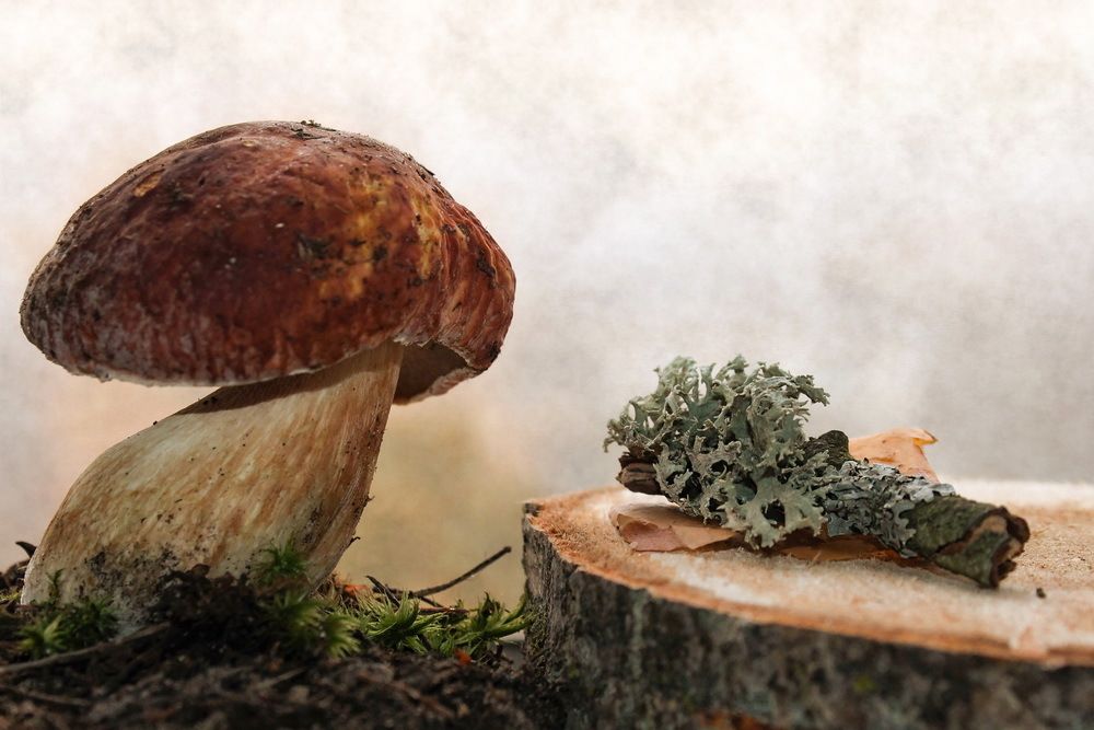 Photograph by Татьяна Яворская