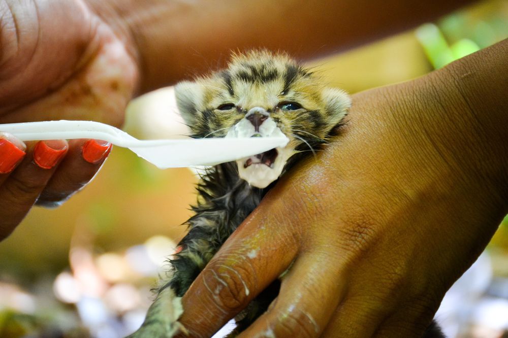 Photograph by Onkabetse Gaolatlhe Kesetse