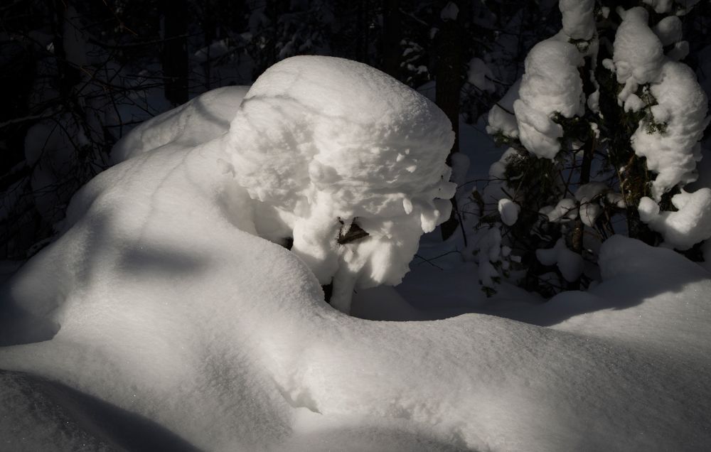Зимние причуды. Пловец.