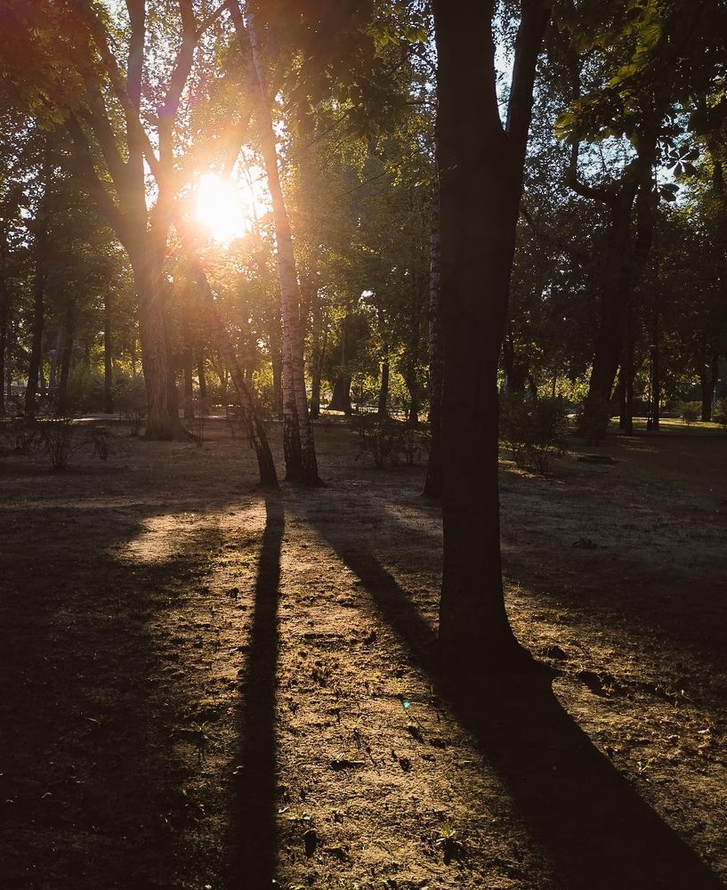 Photograph by Igor Filipenco