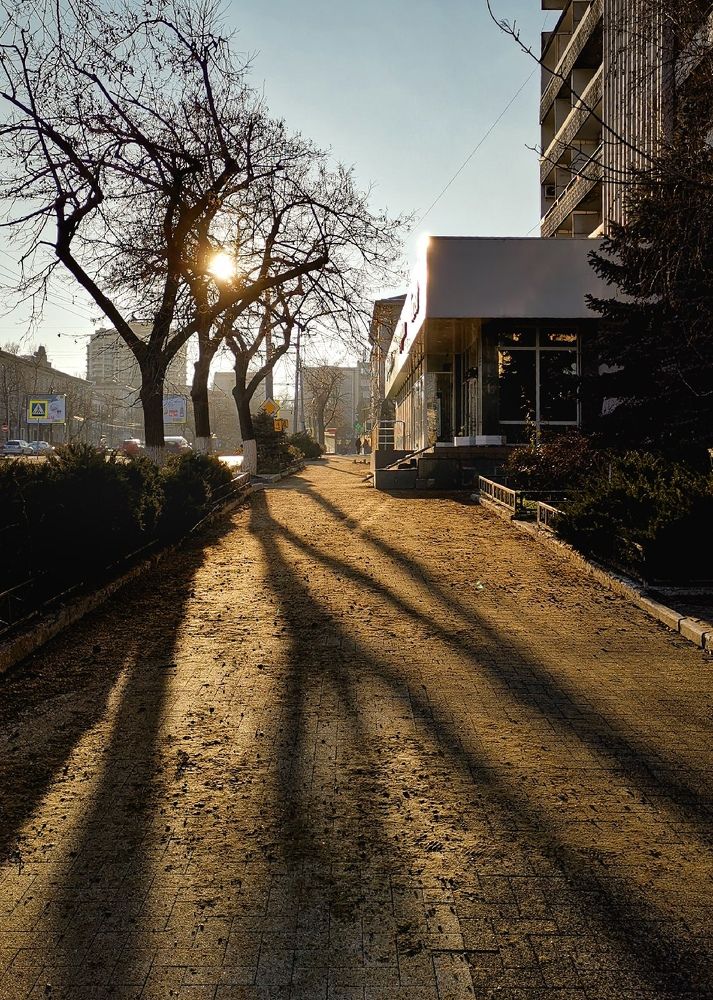 Photograph by Igor Filipenco