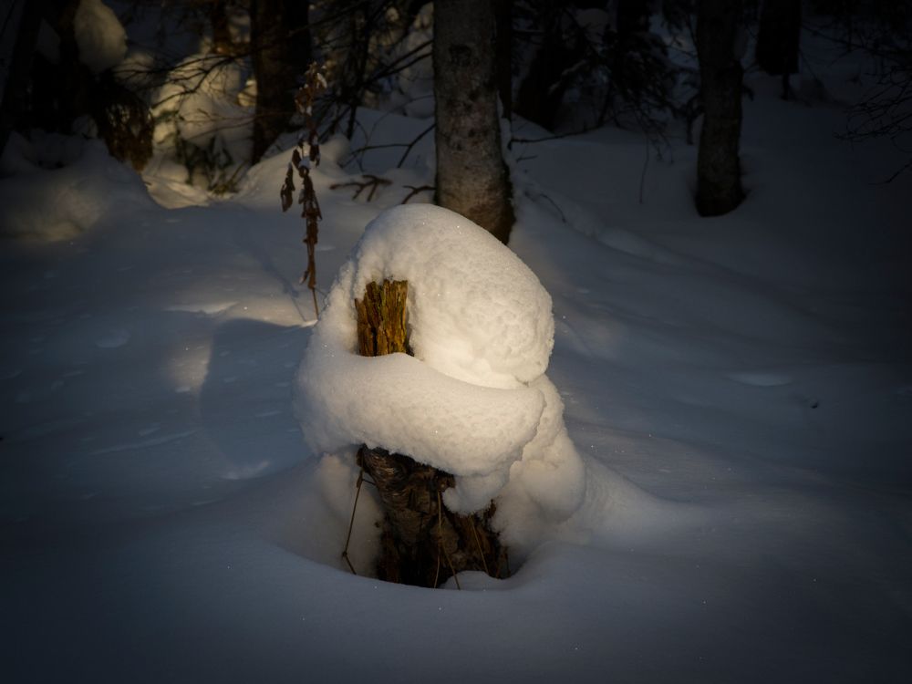 Зимние причуды. Уснул.
