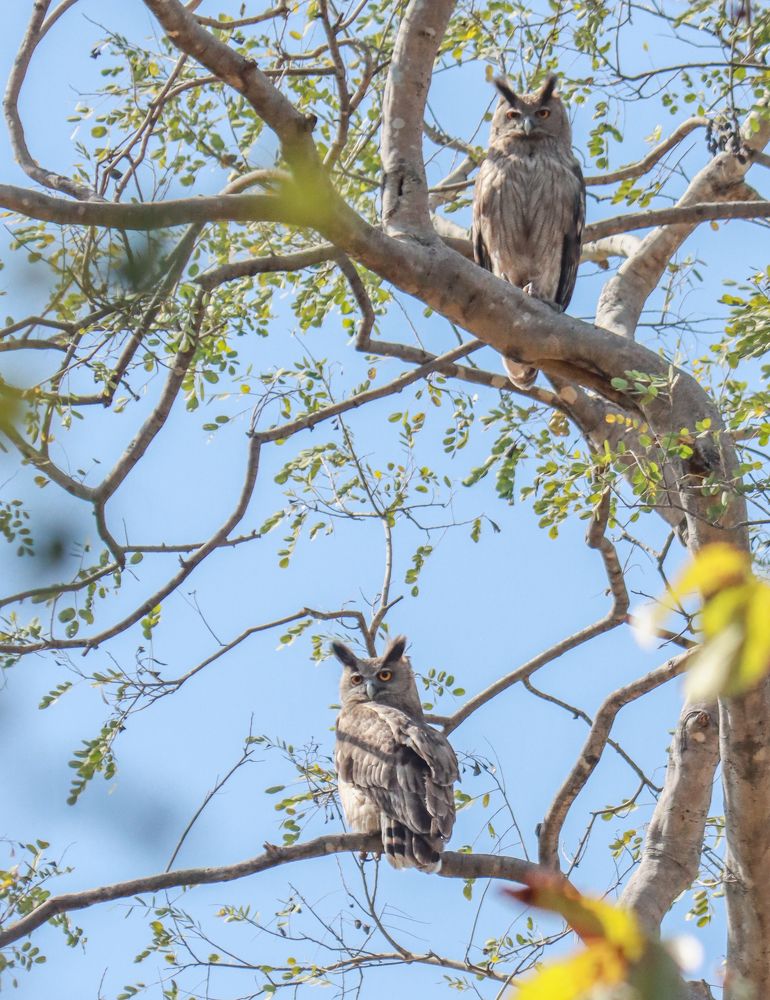 Photograph by Aditya Sapre