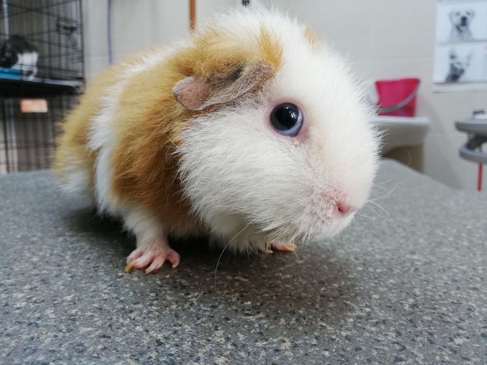 Photograph by Яна Фоминых