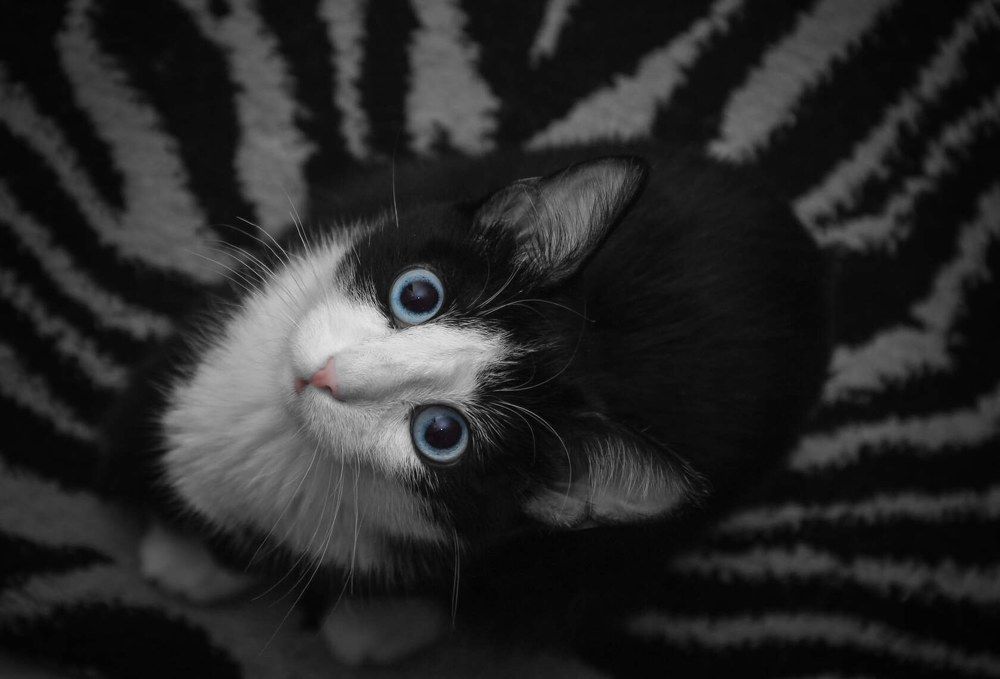 Photograph by Алина