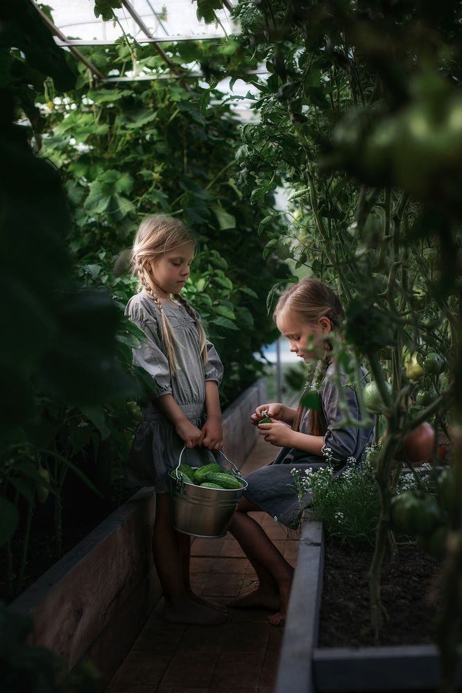 Photograph by Анастасия Шаброва