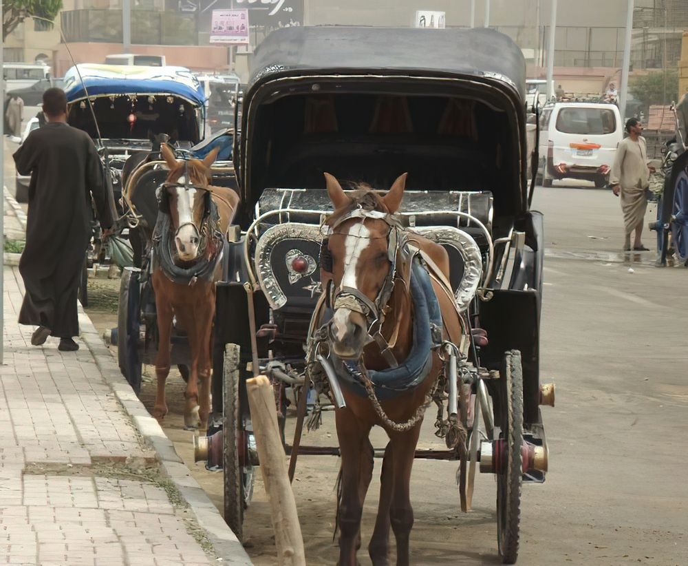 На улицах Луксора.