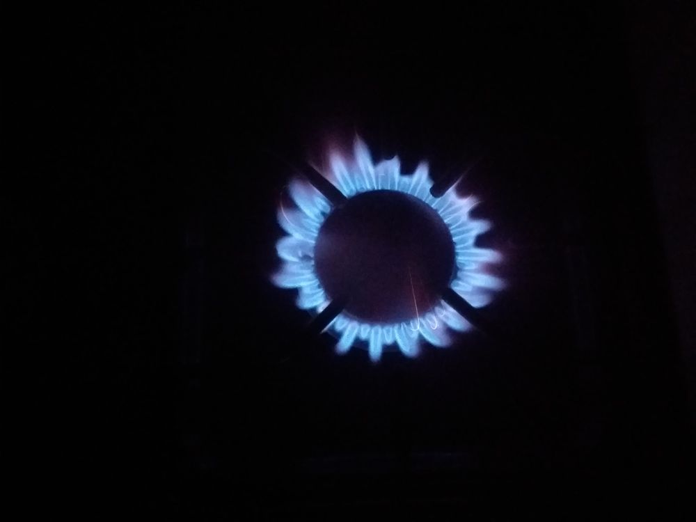 Photo #5949259