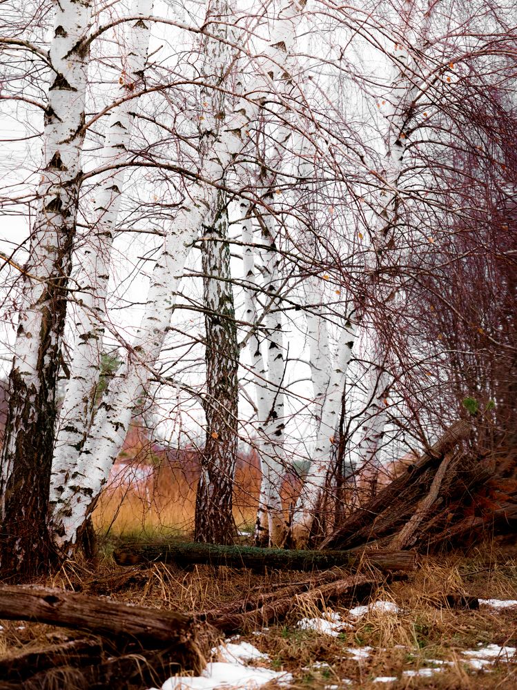 Photograph by Татьяна