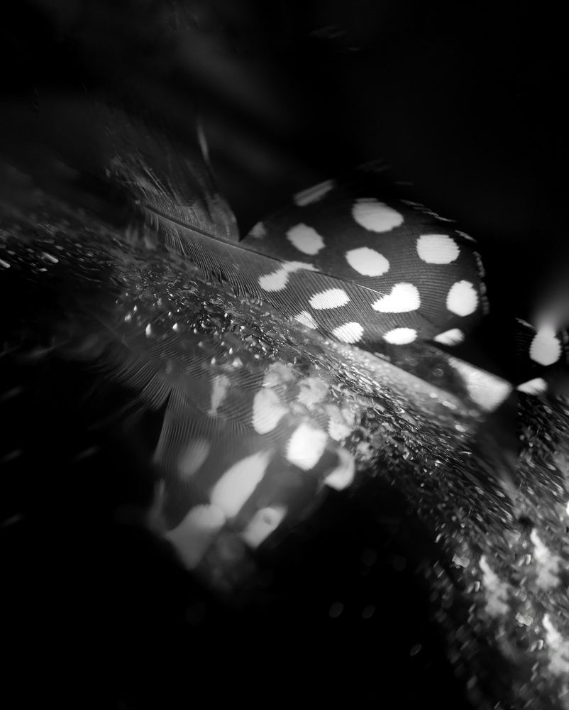 Photograph by Оксана Шевченко