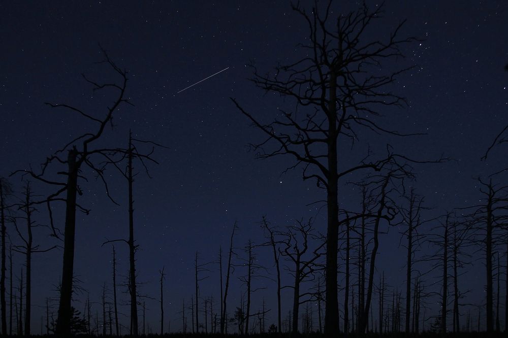 Photograph by Юрий Кузьмин