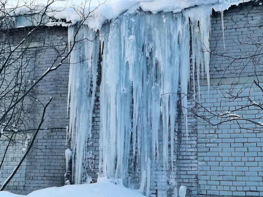 Photograph by Елена