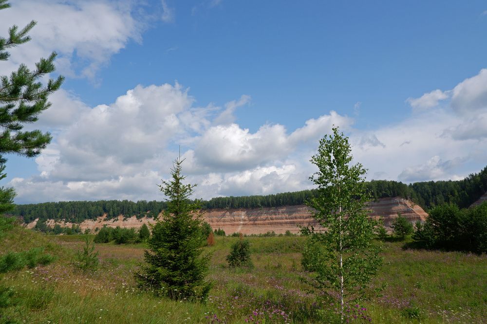 Фотография автора Наталья Липовская