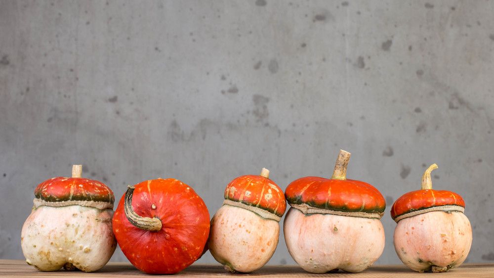 Photograph by Андрей Глыцко