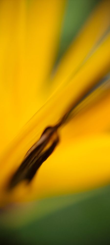 Фотография автора Юлия Вычужанина