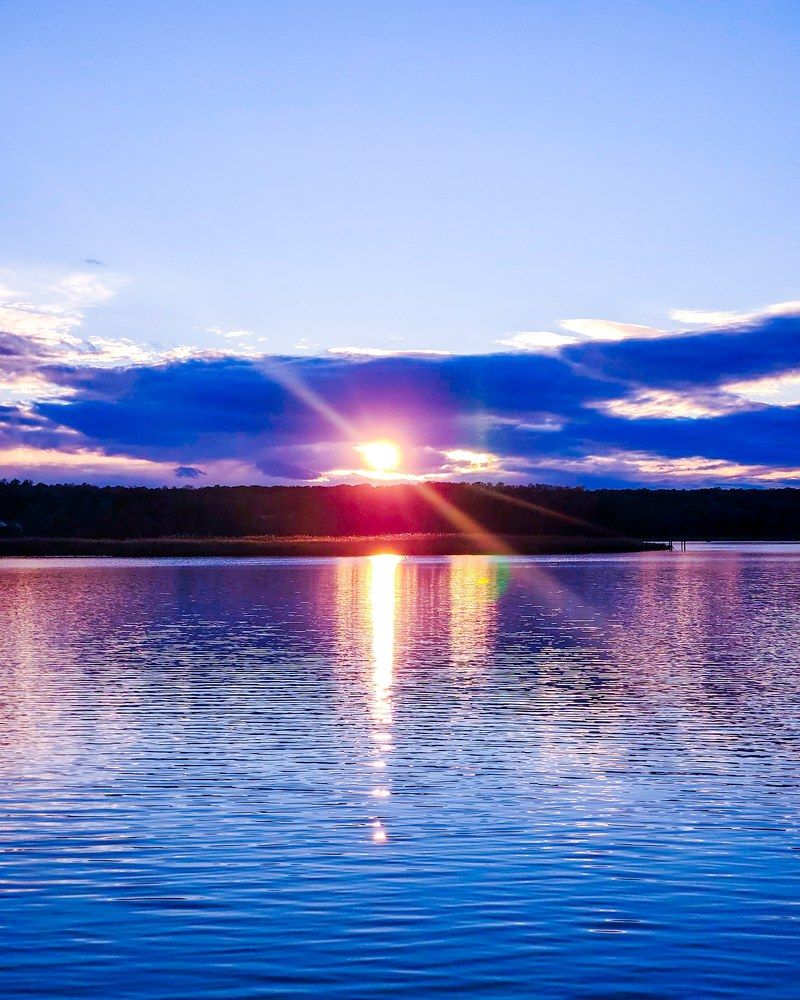 Photograph by Brian Scowcroft