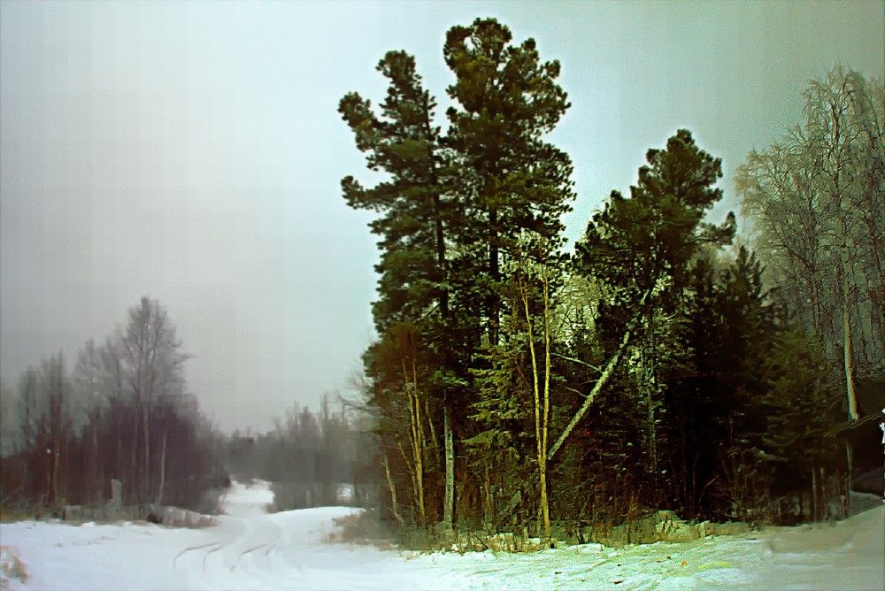 Photograph by Николай Почкалов