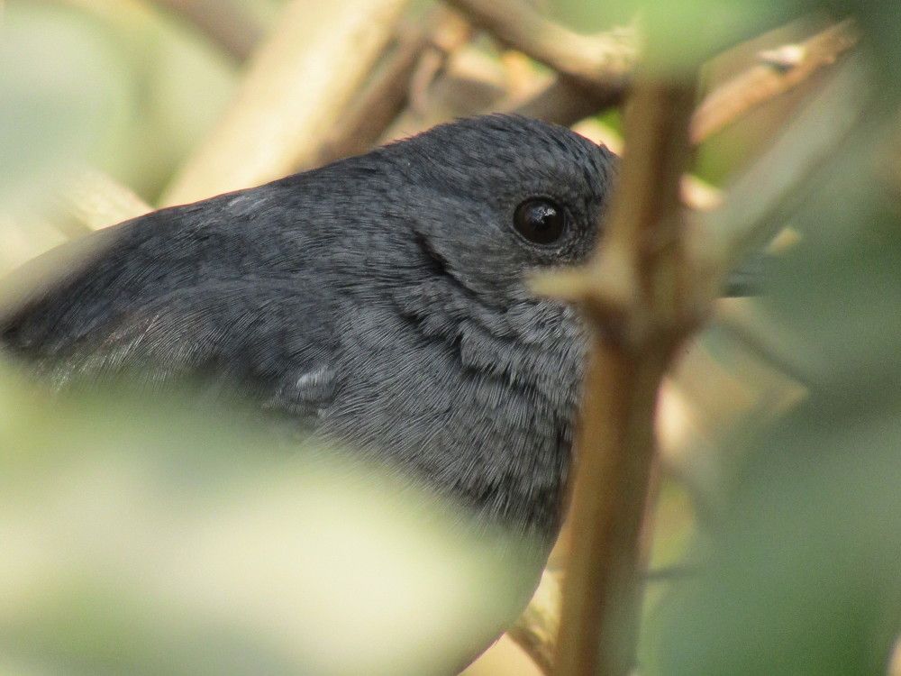 Photograph by Saurav Gupta