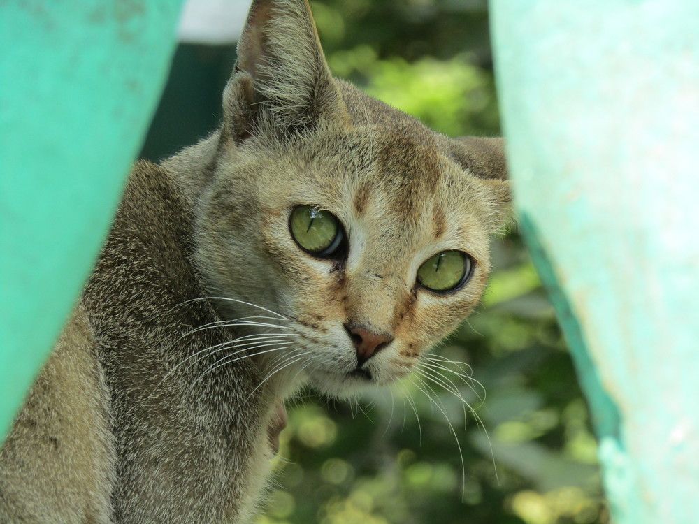 Photograph by Saurav Gupta