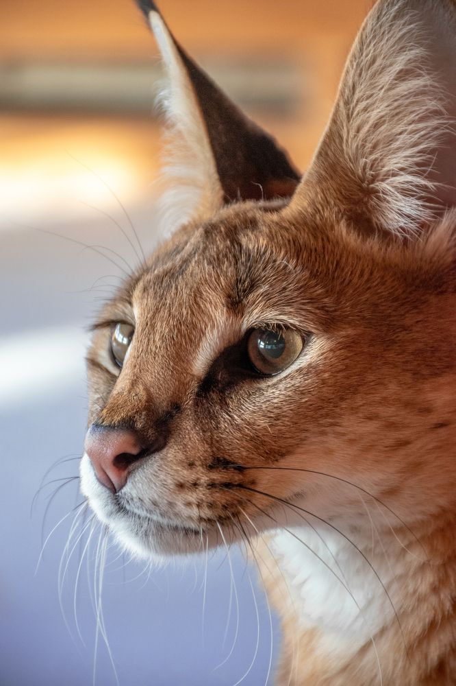 Photograph by Волков Станислав