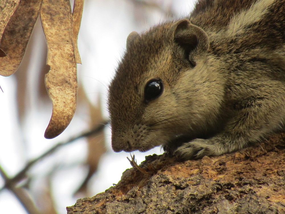 Photograph by Saurav Gupta