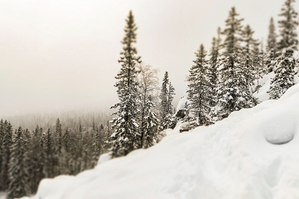 Одна из вершин хребта Большая Сука