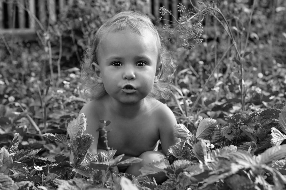 Photograph by Светлана