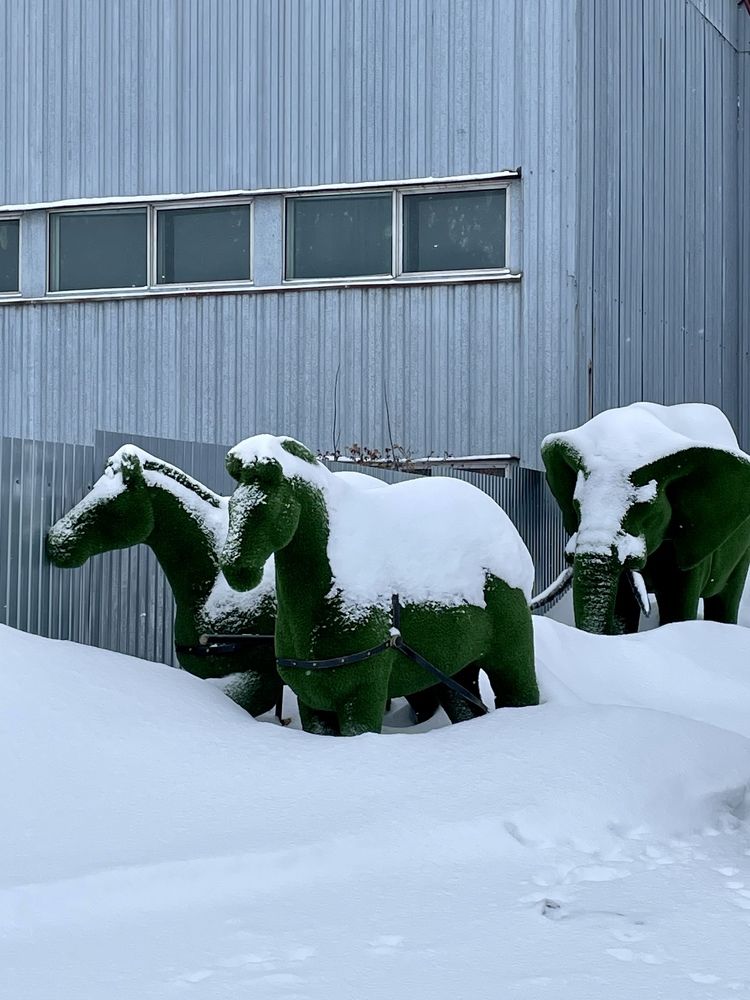 Photograph by Олег