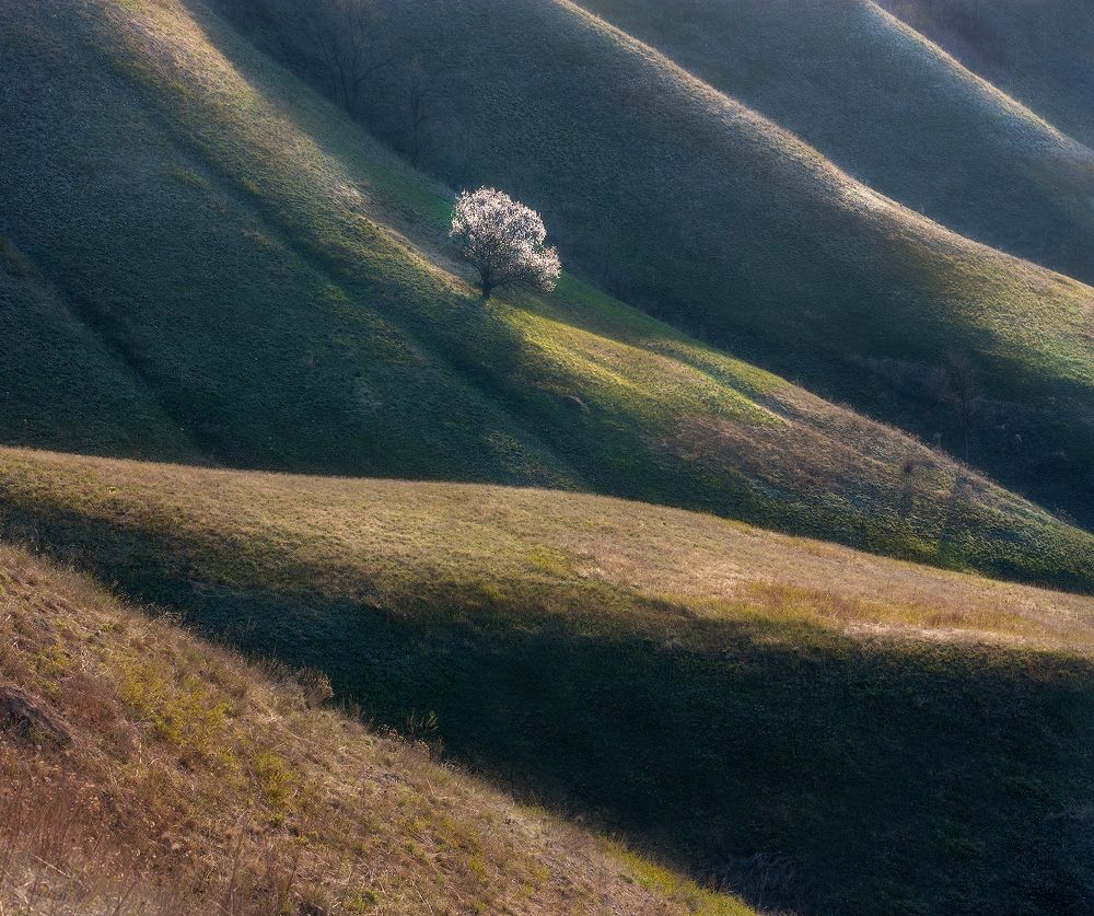 Фотография автора Дитковский Евгений