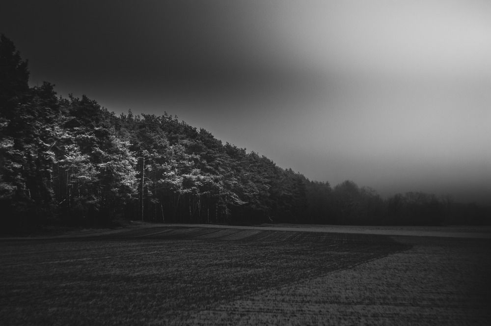 Фотография автора NIghtdream