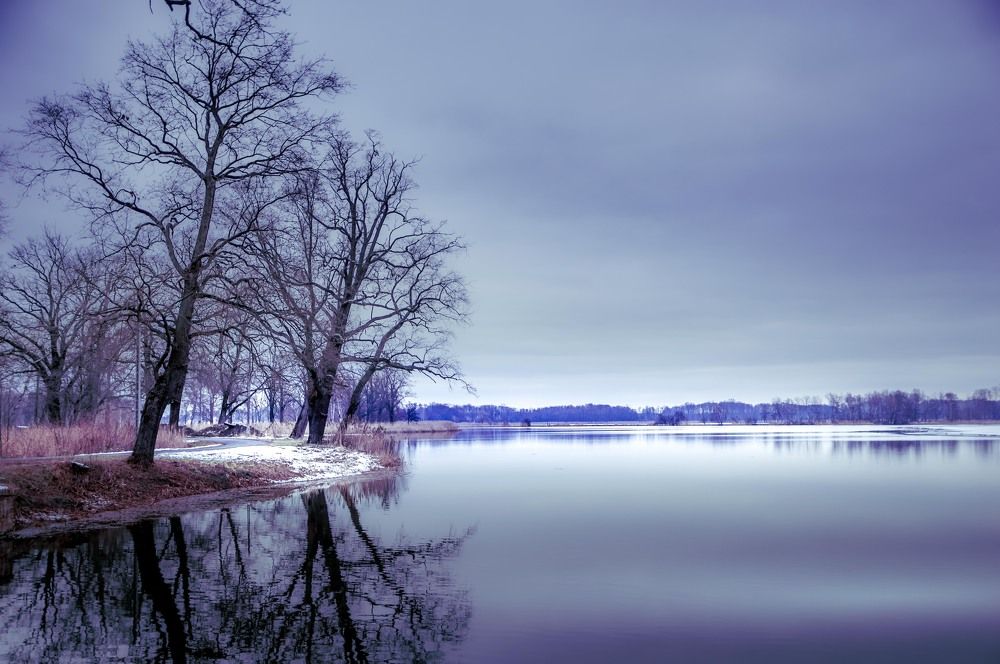 Фотография автора NIghtdream