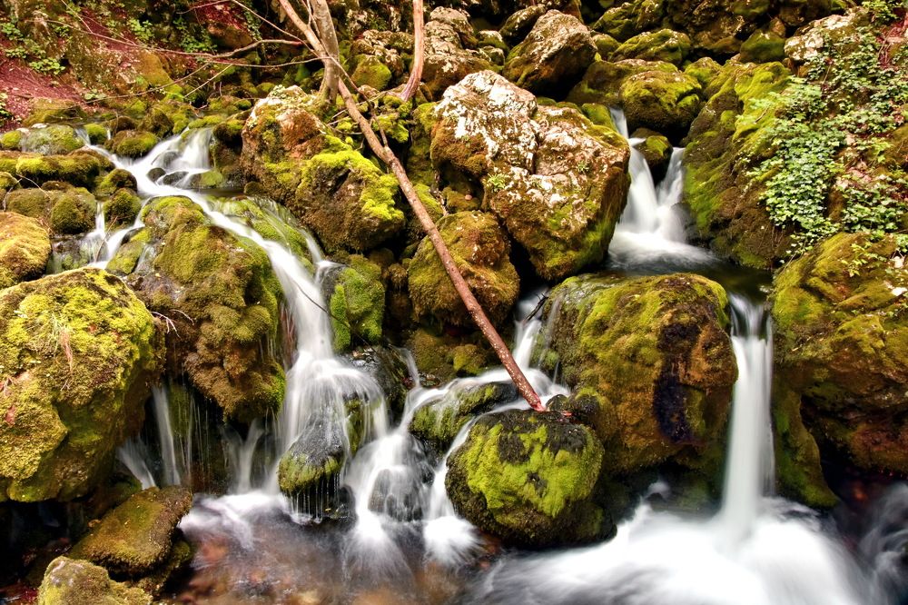 Photograph by Stanko Ratković
