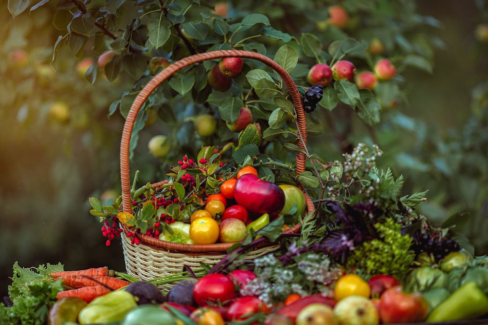 Овощи в корзине