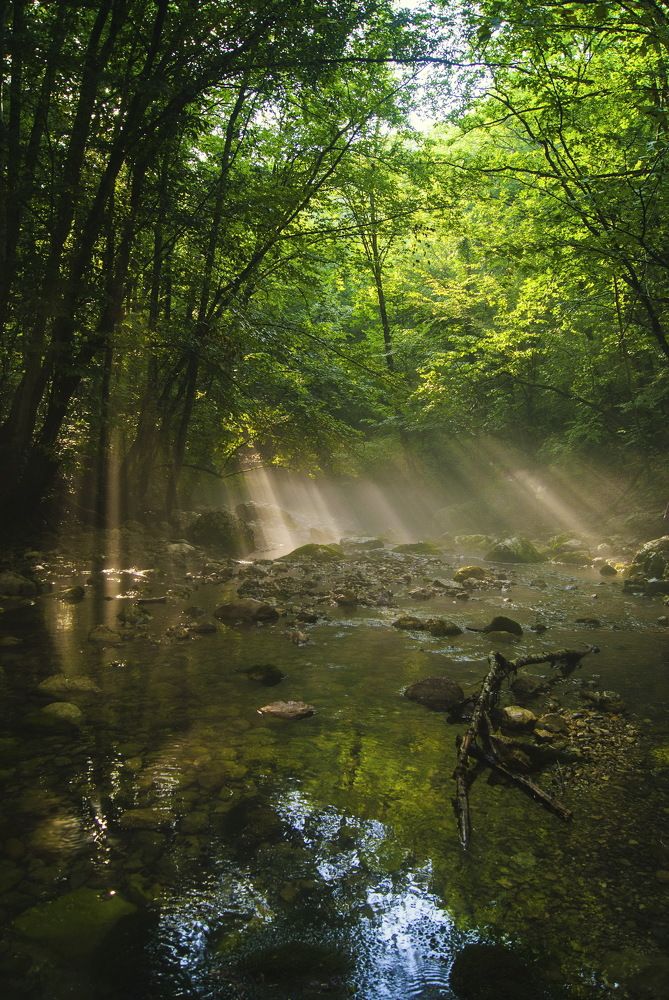 Photograph by Екатерина Бахтинова