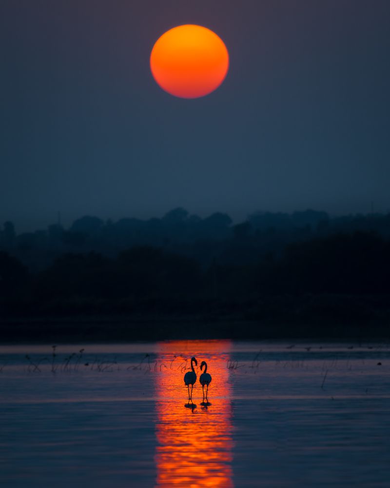 Photograph by Sabyasachi Sanyal