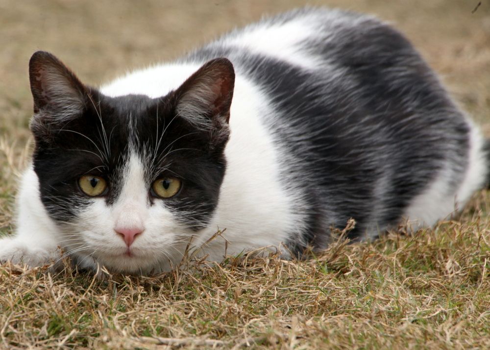 Photograph by MAHMOOD AKBAR