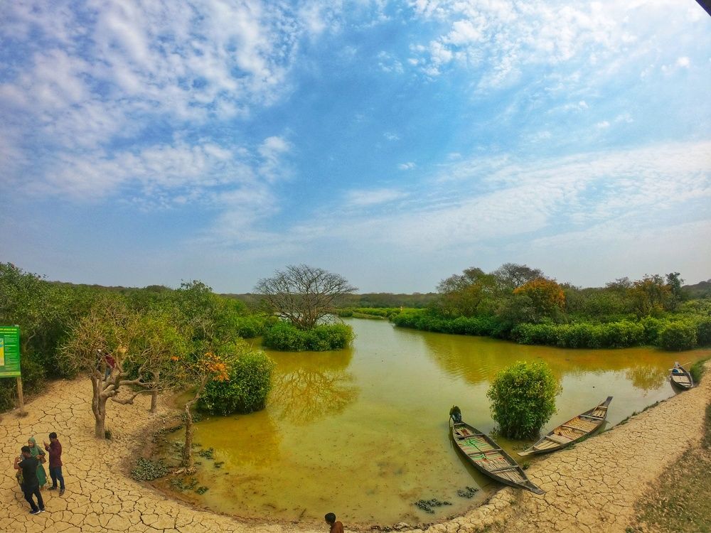 Ratargul Watch Tower